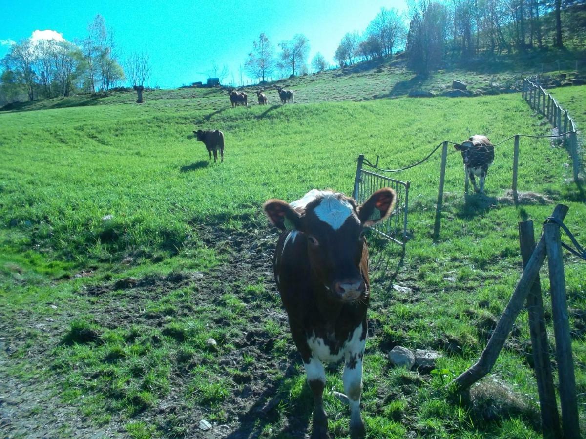 Mo Gardsferie-Pers Frukthage Villa Øystese Dış mekan fotoğraf