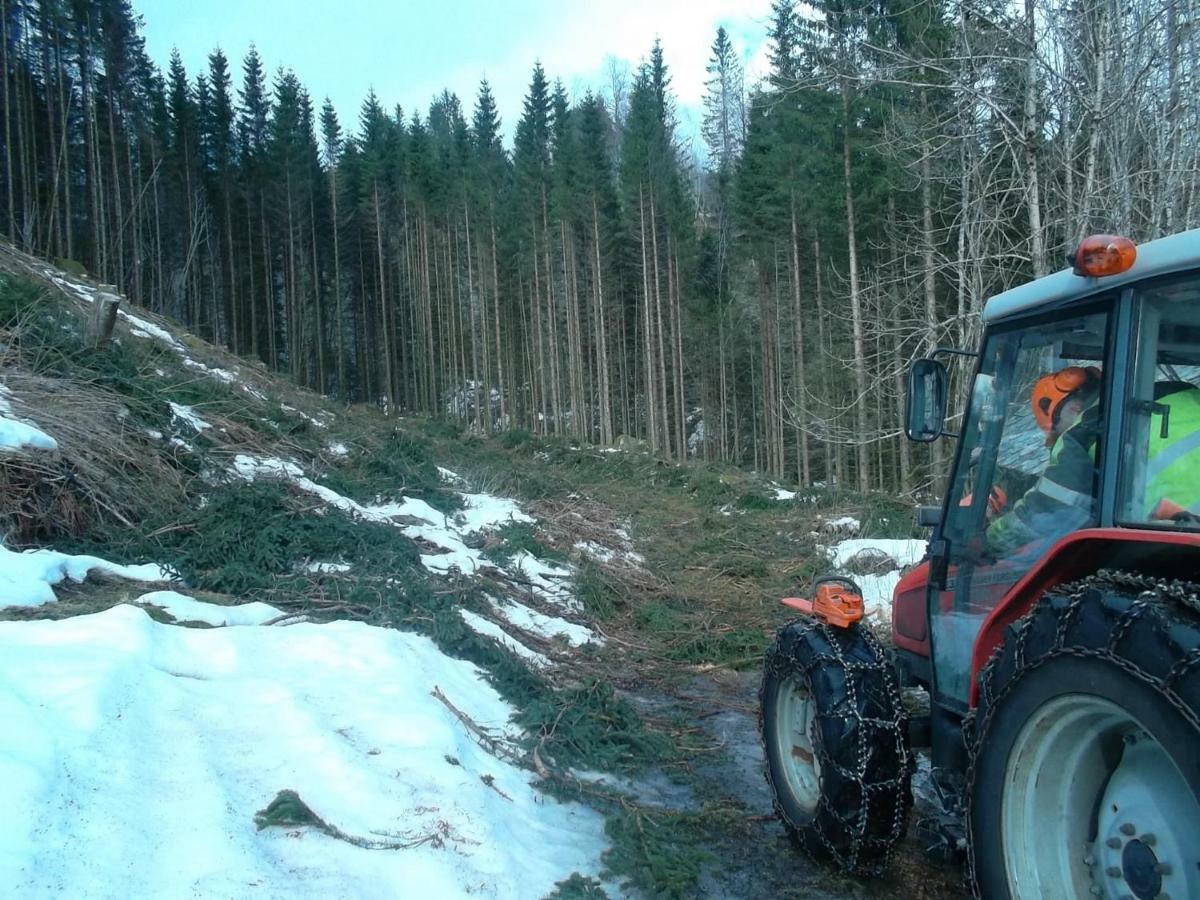 Mo Gardsferie-Pers Frukthage Villa Øystese Dış mekan fotoğraf